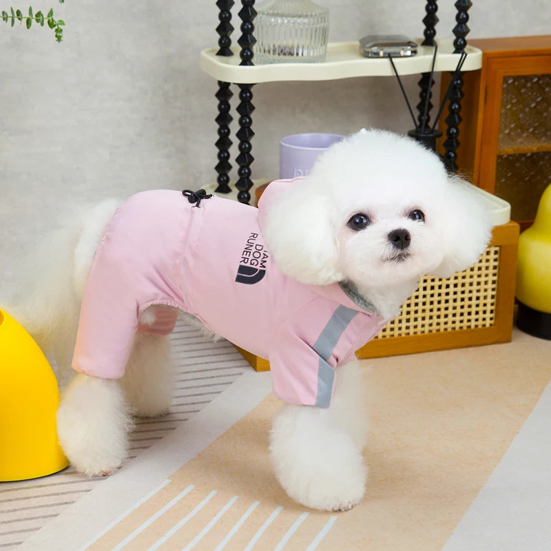 vetement-chien-quatre-patte