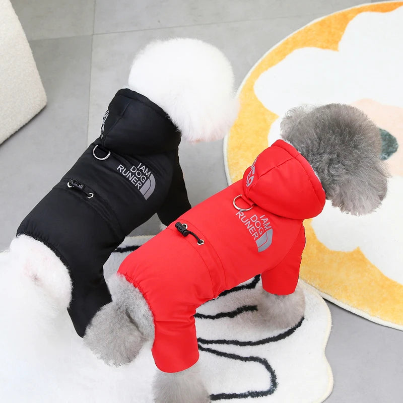 vetement-chien-vestes