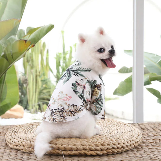 vetement-pour-chien-blanc